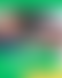 Tragédia na BR-232: colisão em Belo Jardim deixa três jovens mortos