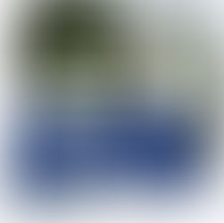 Oportunidade: concurso da Câmara de Belo Jardim está com inscrições abertas