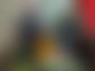 Policiais do 15º bpm participam
de festa de aniversário em
são bento do una