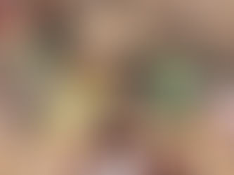 Impacto social gerado pelo Instituto Conceição Moura é reconhecido com selo da Alicerce Educação