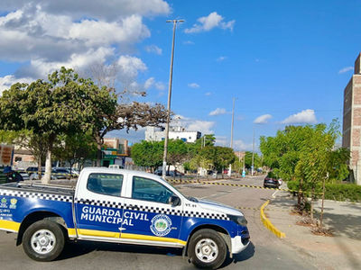 Enxame de abelhas será retirado
na rodoviária de Belo Jardim
nesta quarta-feira (17); evite as proximidades