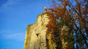 Appel à bénévoles : nettoyage à Saint-Vaast-lès-Mello