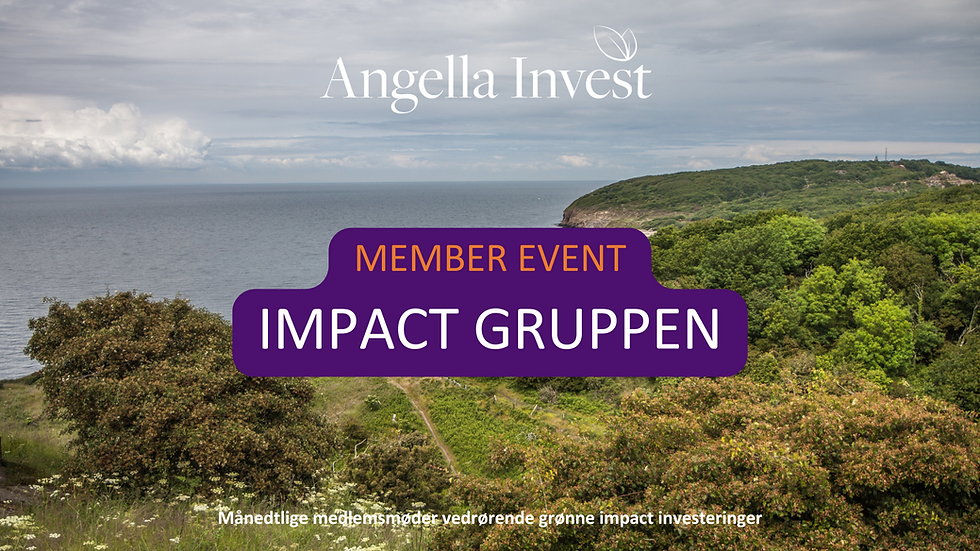 MEMBER EVENT: IMPACT GRUPPEN