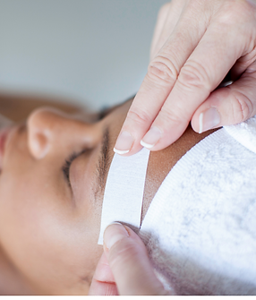 Neutral Modern Store Banner (Shopify Banner) - 2024-04-24T153412.729.png