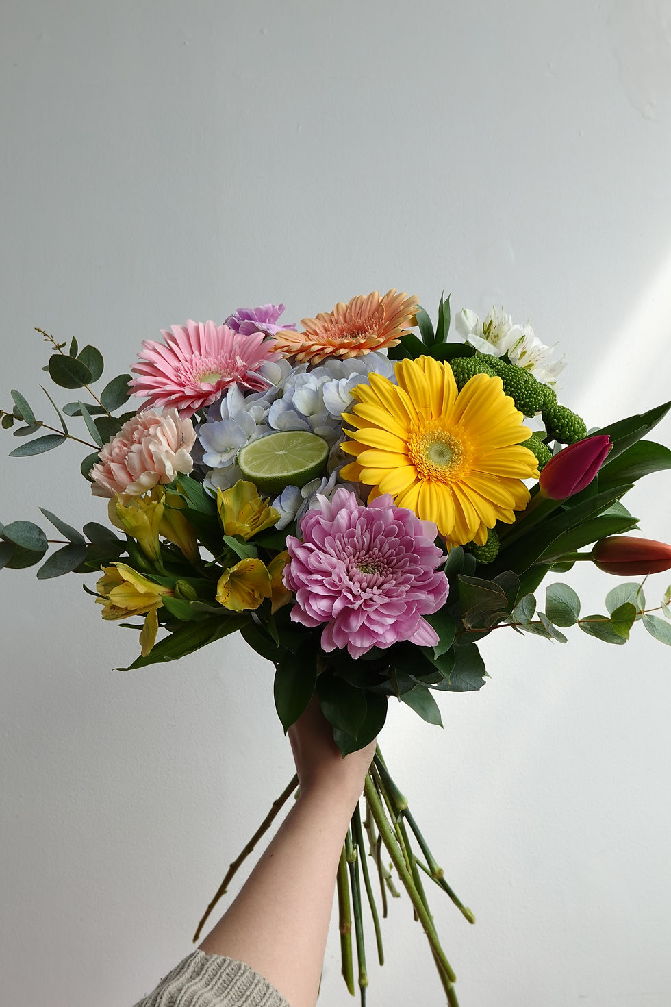 Une main tient un bouquet de fleurs colorées, dont des gerberas et chrysanthèmes. Fond blanc uni, ambiance fraîche. Imagine d'un fleuriste établi à Laval, Qc.
