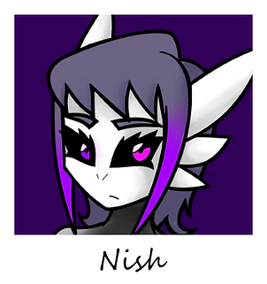 Polaroid - Nish1.png