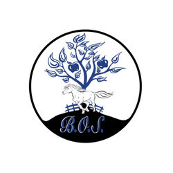 Logo Abbreviated