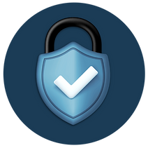 SECURITY ICON.png