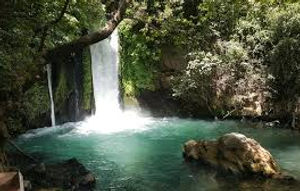 Banias