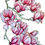 Thumbnail: Pink Magnolia