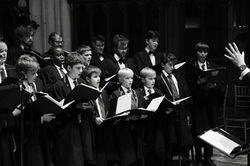 concert 1