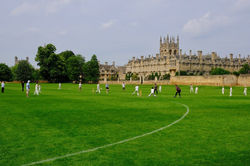 cricket
