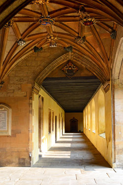 cloister Amberlight