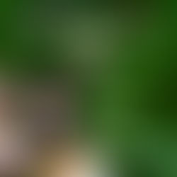 Hana hou! Mahalo to my Wonderful Clients for another year Nominated for Excellence in Real Estate!