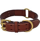 collar.JPG