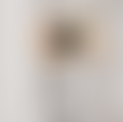 STECKRETÄR: Plug-In Arbeitsplatz für BILLY 