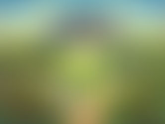 Variedades vegetales: las grandes olvidadas en el proyecto de transferencia Tecnológica