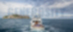 Support-Banner-01.jpg