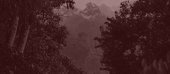 Web-2025-OurWork-Header.jpg