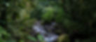 Testimonial-Slide-background.jpg