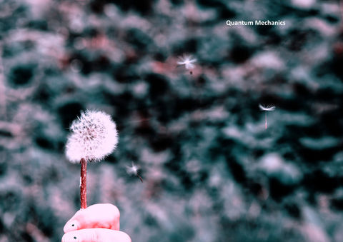 quantum mechanics / fractal olographic Universe