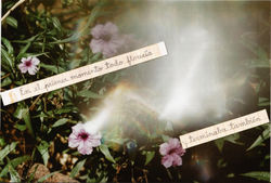 Verano /// Summer (2020)