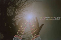 Unos rayos bastan para dar abrigo /// A few rays are enough to give shelter (2016)