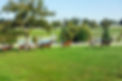 donamire-farm-running-horses credit Jeff Rogers.jpg
