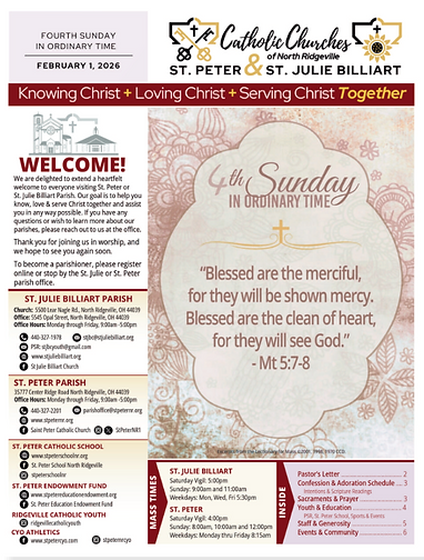 Screenshot 2026-01-29 095917.png