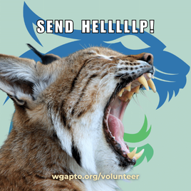 Other Ways WGA Families Spread #Kindness!