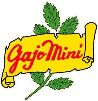 GAJOMINI