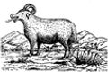 BoR c12-13 7PThe Beast out of the Land.j