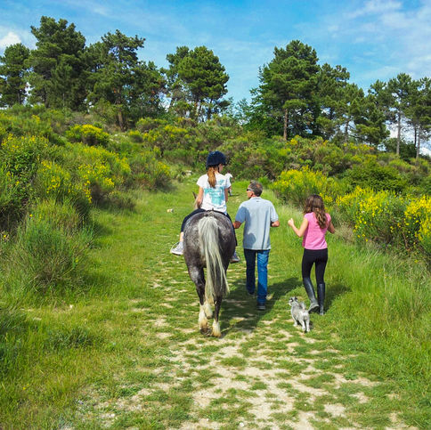 01-4 - Mont Macaron.jpg