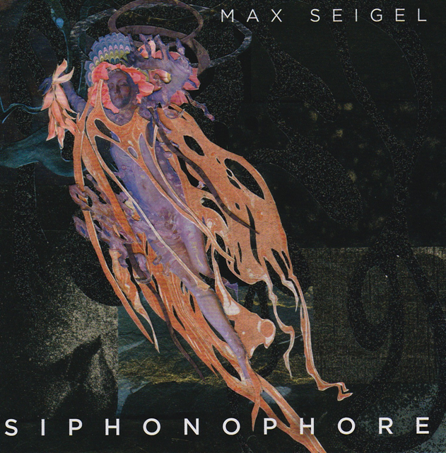 Siphonophore