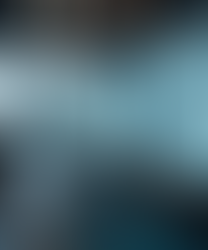 Connecting Architects Through Collaborative Design Platforms