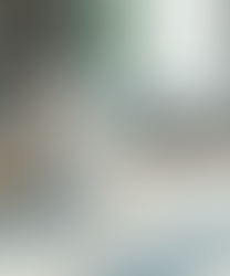 Exploring Architecture-Focused Online Forums