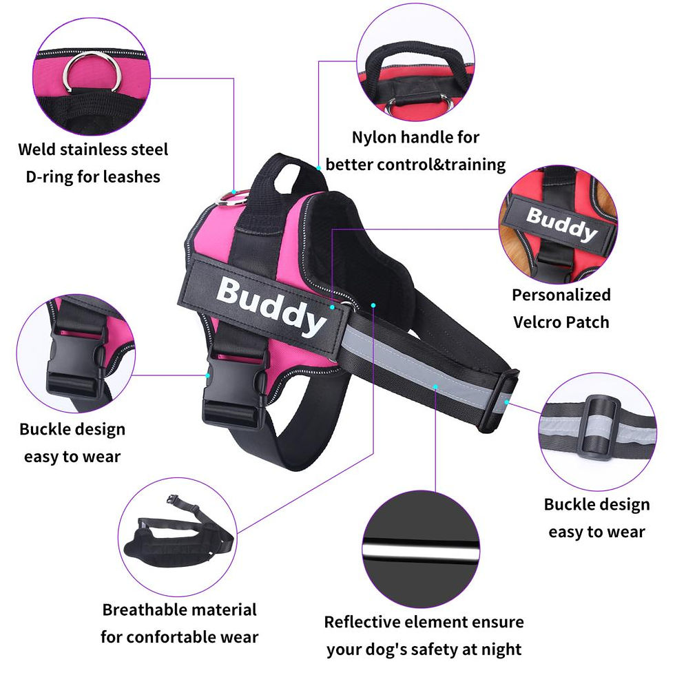 Thumbnail: Dog Harness No Pull for Small Large Dog Reflective Harness Vest French Bulldog.