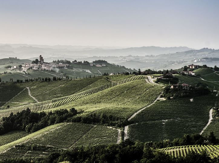 Piemontese Wine Dinner
Featuring Moscone Winery