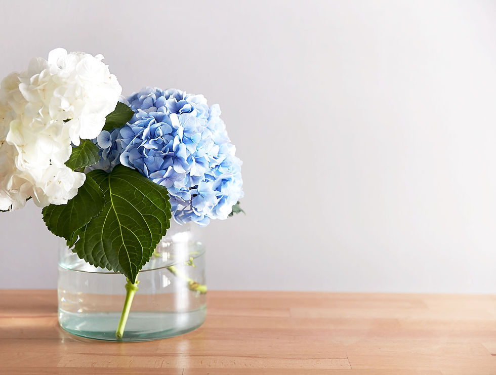 Flowers delivered yeovil somerset Poppies Florist England