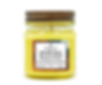 MAINE BUG BLOCKER - CITRONELLA 8oz. Scented Soy Candle