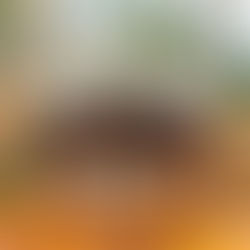 IS BOURBON A TYPE OF WHISKEY?