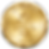 SFWSC-Gold (1).png