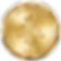SFWSC-Gold (1).png