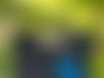 設立6周年記念 キャンペーン開催中(キャンペーンは終了いたしました。)