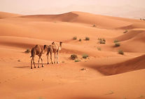 Dubai-Desert-Safari.jpg