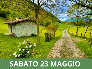 I PRATI ALTI DEL LAGO DI ENDINE