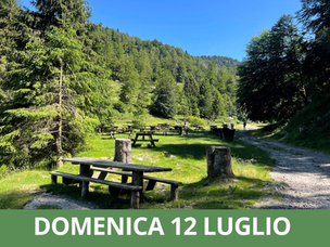 BOSCHI E GRIGLIATA IN VAL PALOT