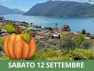 DESTINAZIONE "SALE IN ZUCCA"