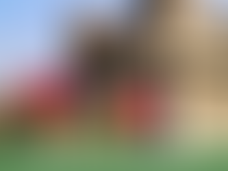 CASTELLO DI MALPAGA, FIUME SERIO E TULIPANI