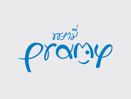 PRAMY、PRAMA系列產品 中文標識更新說明